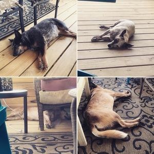 Meet your Posher, Leah